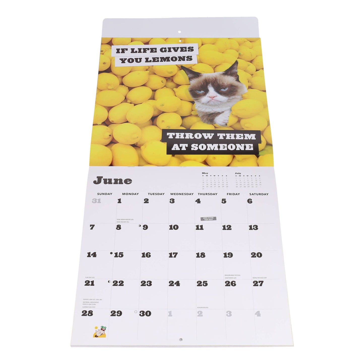 Grumpy Cat 2026 Wall Calendar | Adorable Cats Calendar Poster | 12'' x 12''