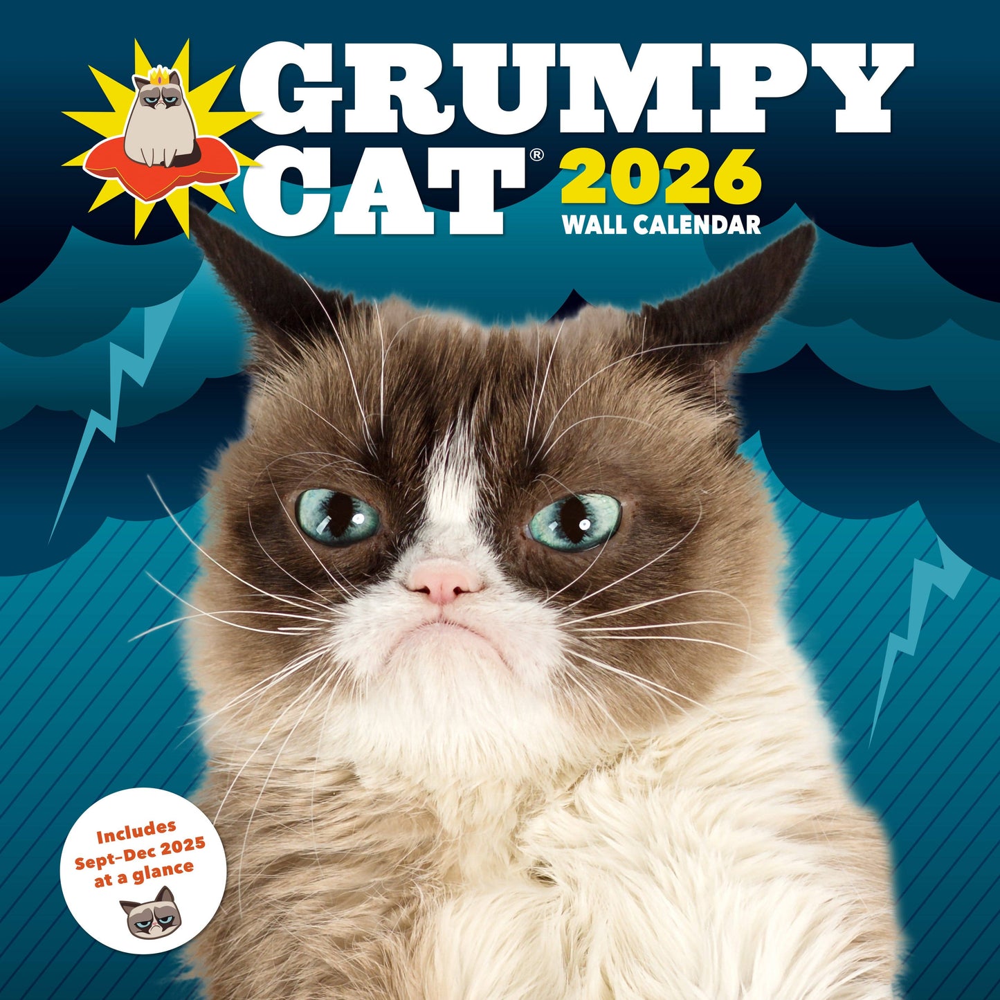 Grumpy Cat 2026 Wall Calendar | Adorable Cats Calendar Poster | 12'' x 12''