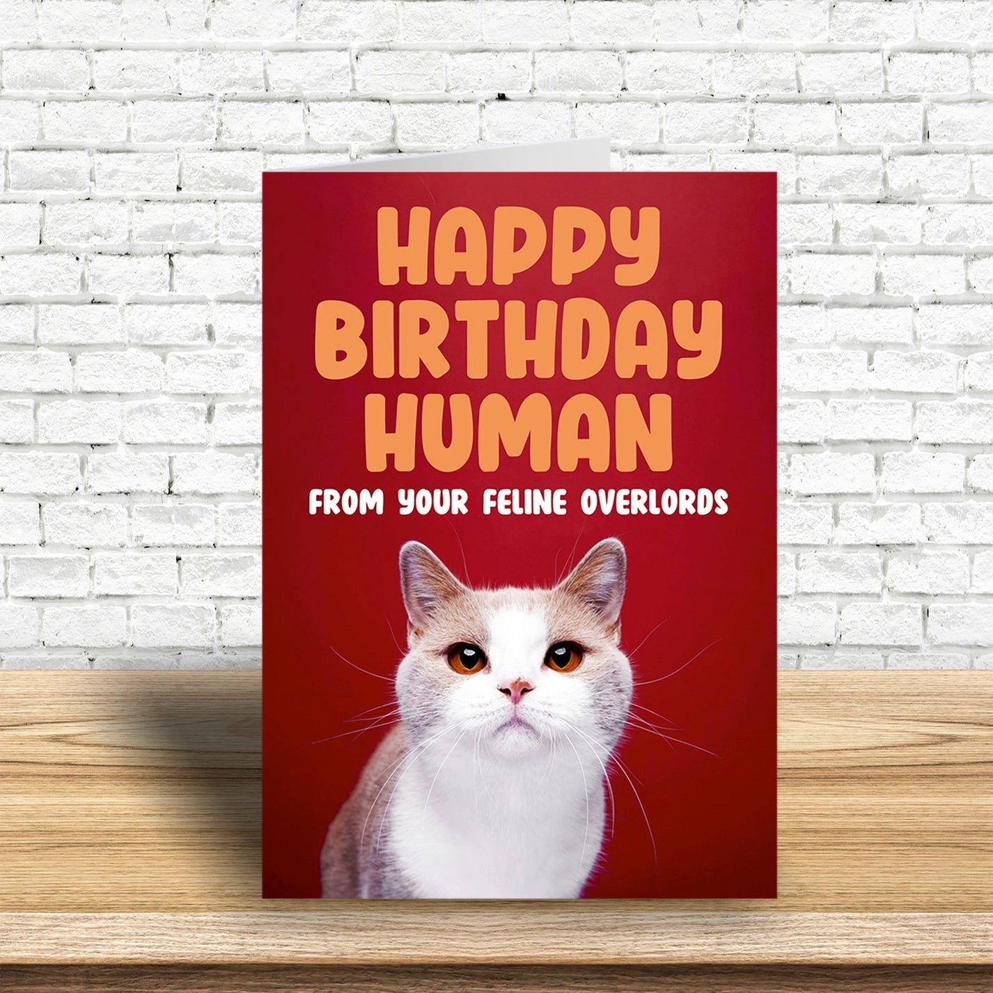 Happy Birthday Human From Your Feline Overlords Greeting Card