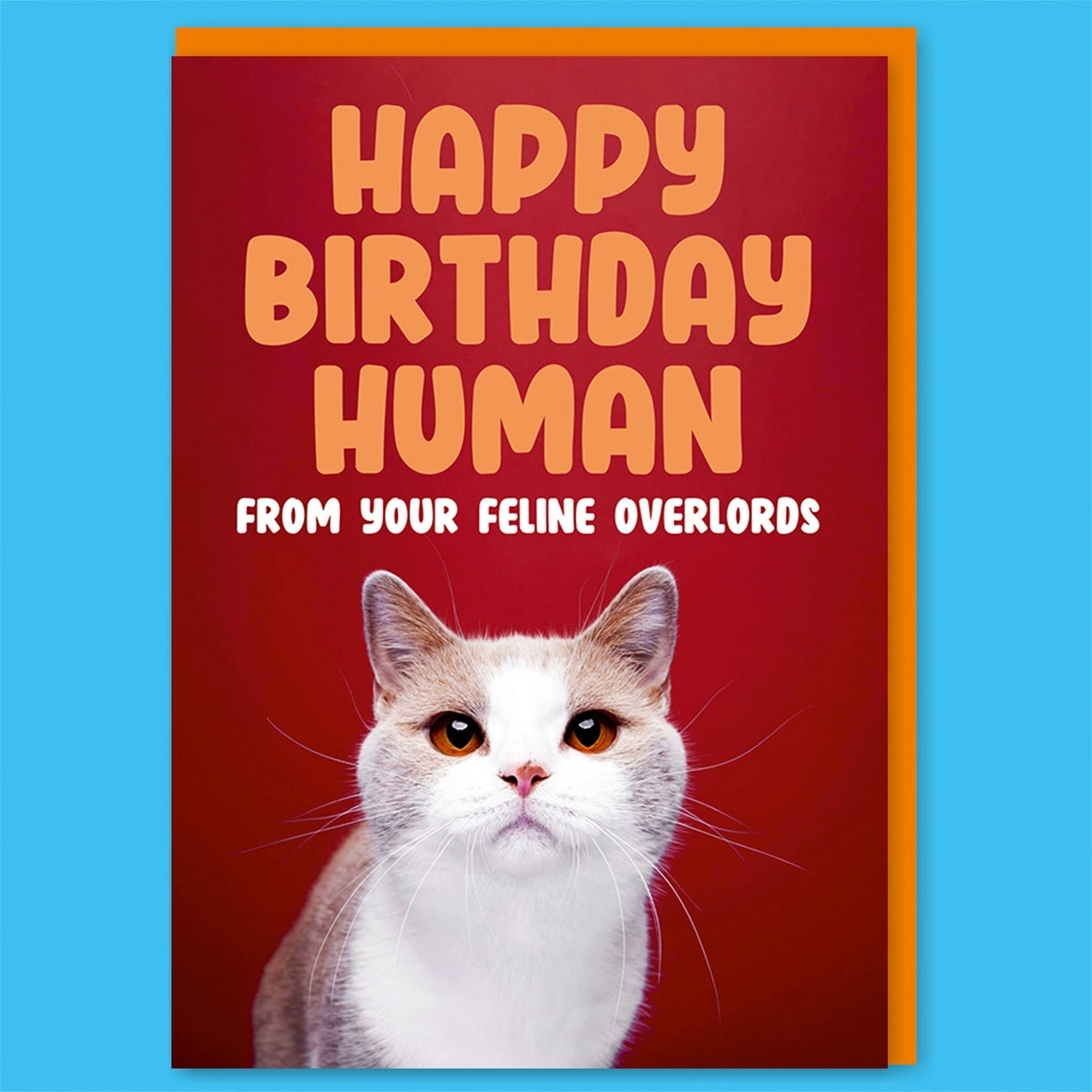 Happy Birthday Human From Your Feline Overlords Greeting Card