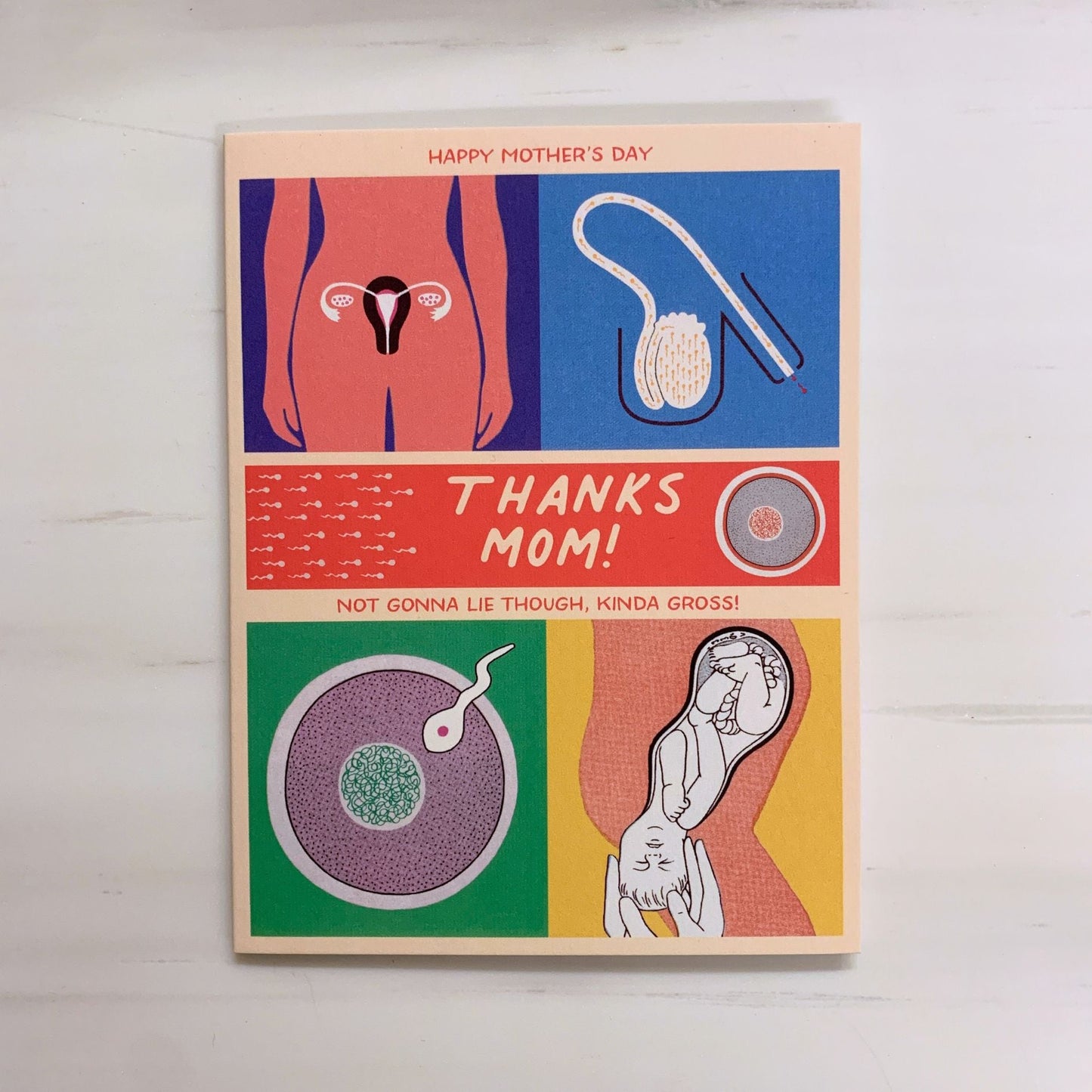 Happy Mother's Day Thanks Mom Kinda Gross Medical Diagram Greeting Card