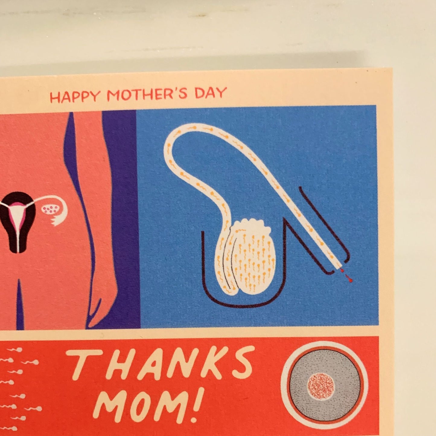 Happy Mother's Day Thanks Mom Kinda Gross Medical Diagram Greeting Card