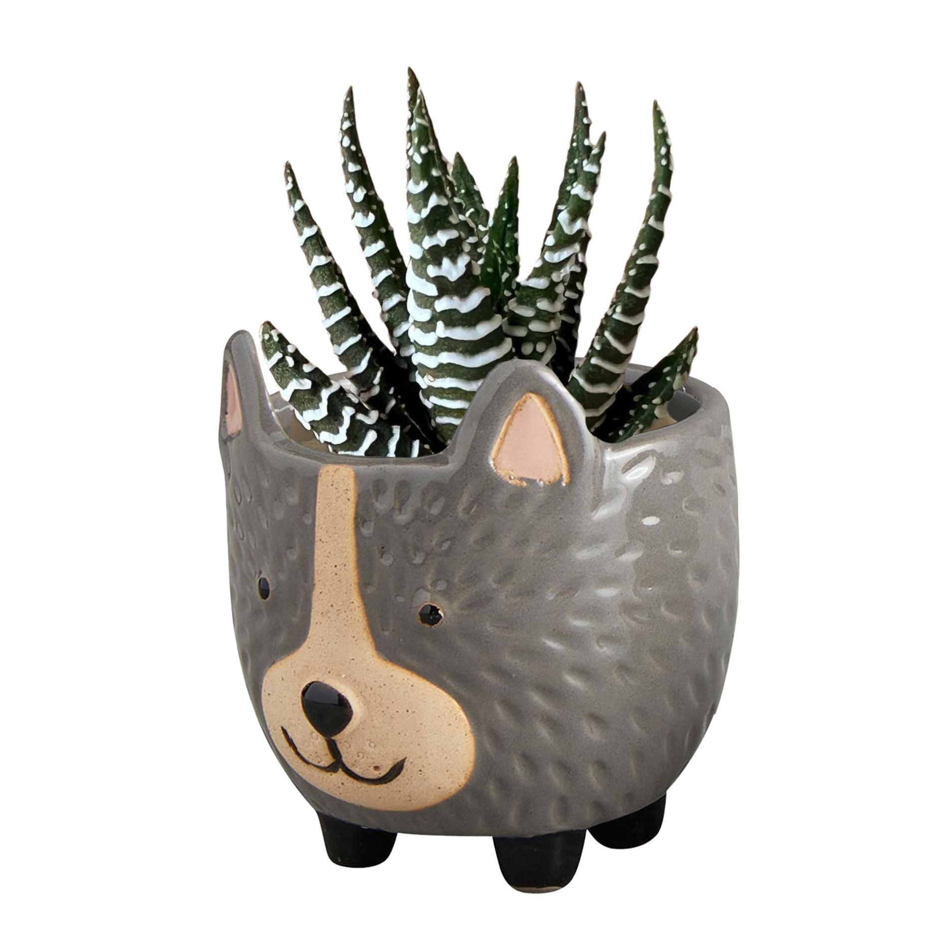 Hedgehog Pot | Decorative Ceramic Planter | 3.25" Tall