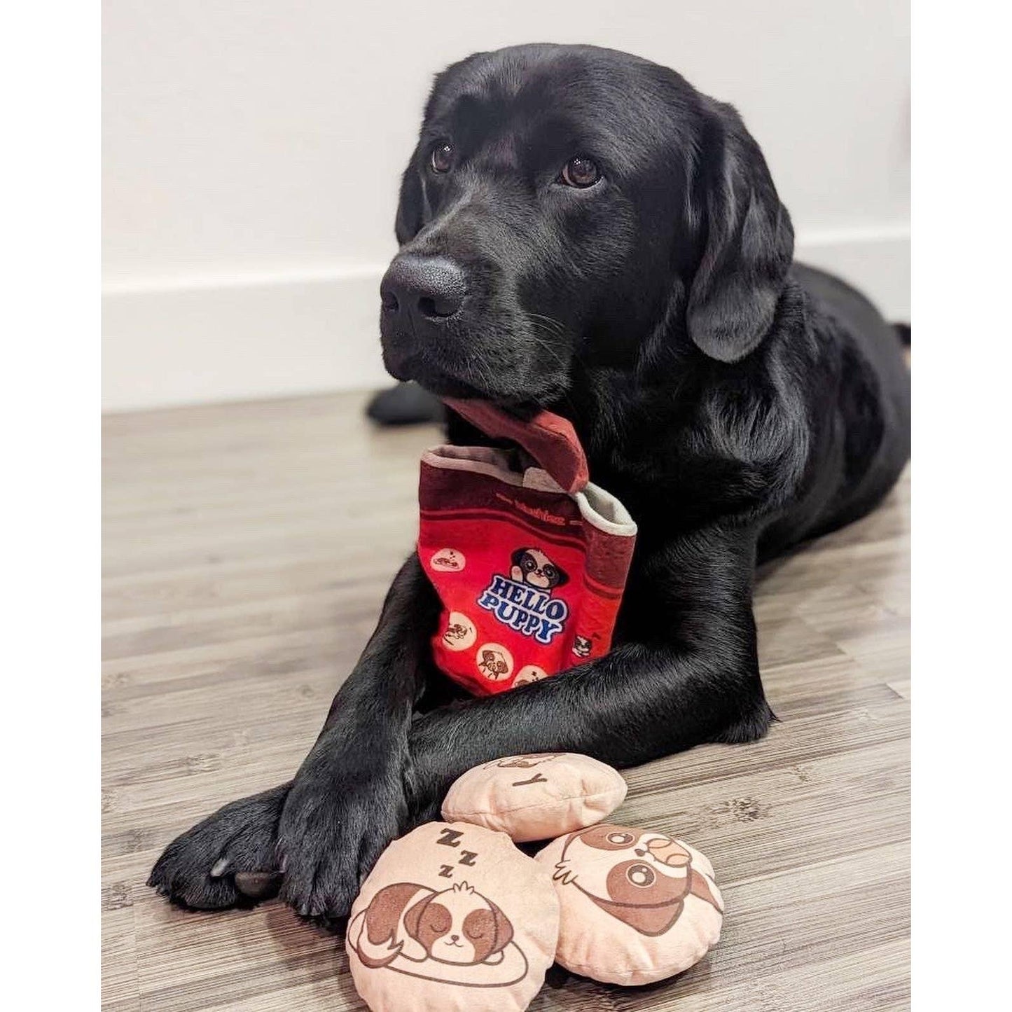 Hello Puppy 4 Piece Dog Toy | Asian Snack Food Theme-Blushiez-The Bullish Store