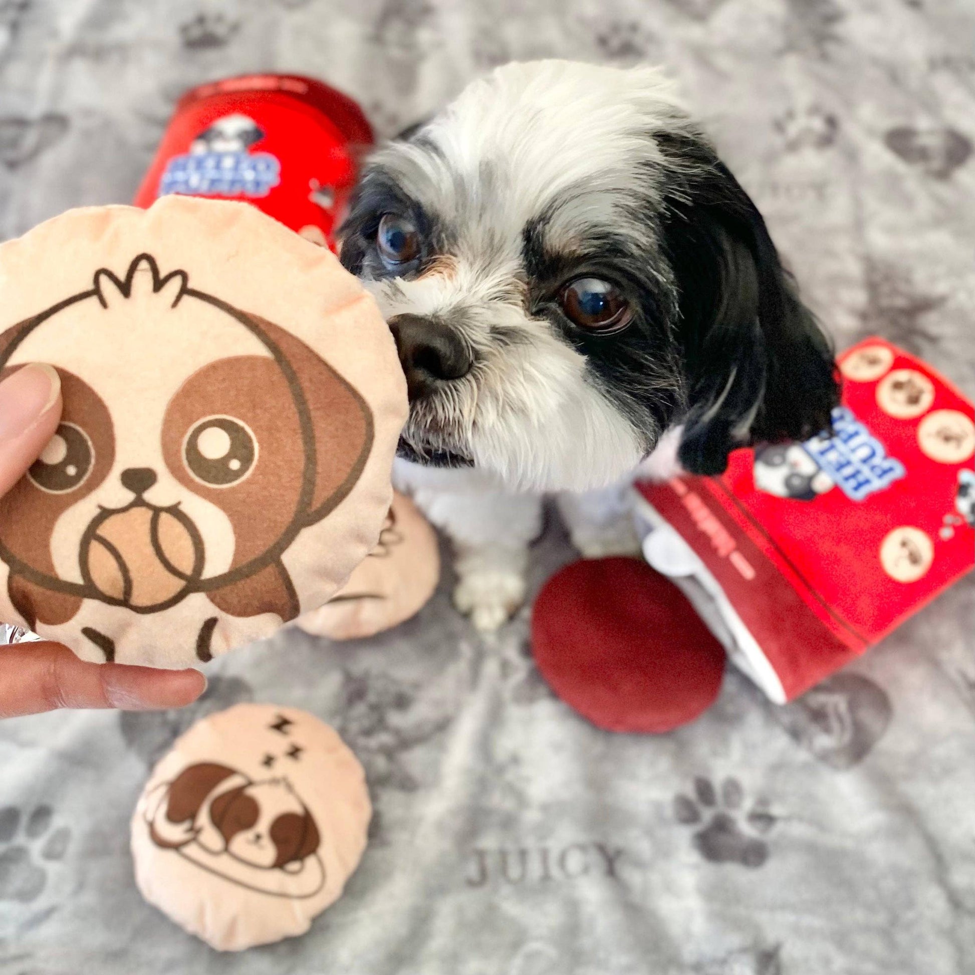 Hello Puppy 4 Piece Dog Toy | Asian Snack Food Theme-Blushiez-The Bullish Store
