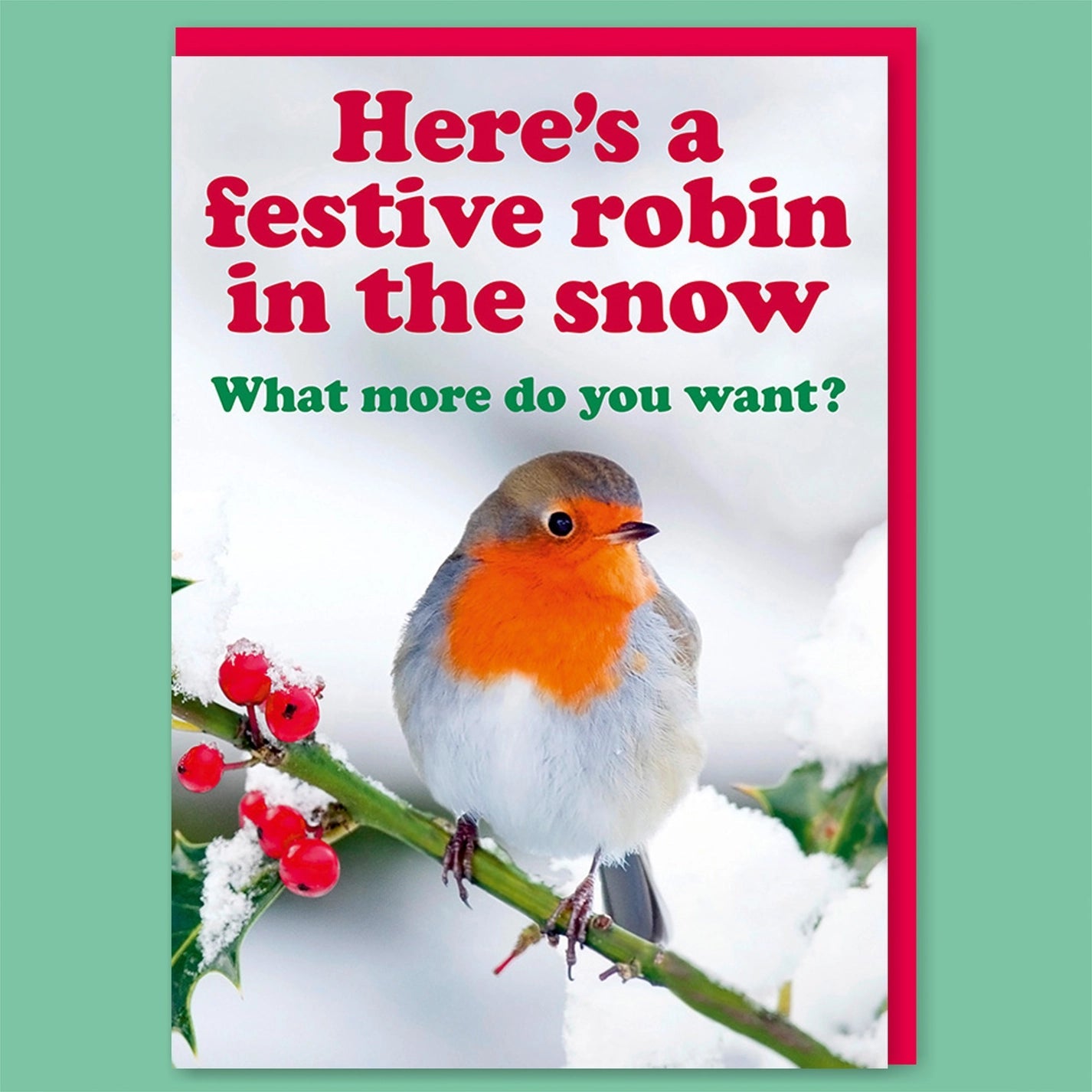 Here's A Festive Robin In The Snow Christmas Greeting Card