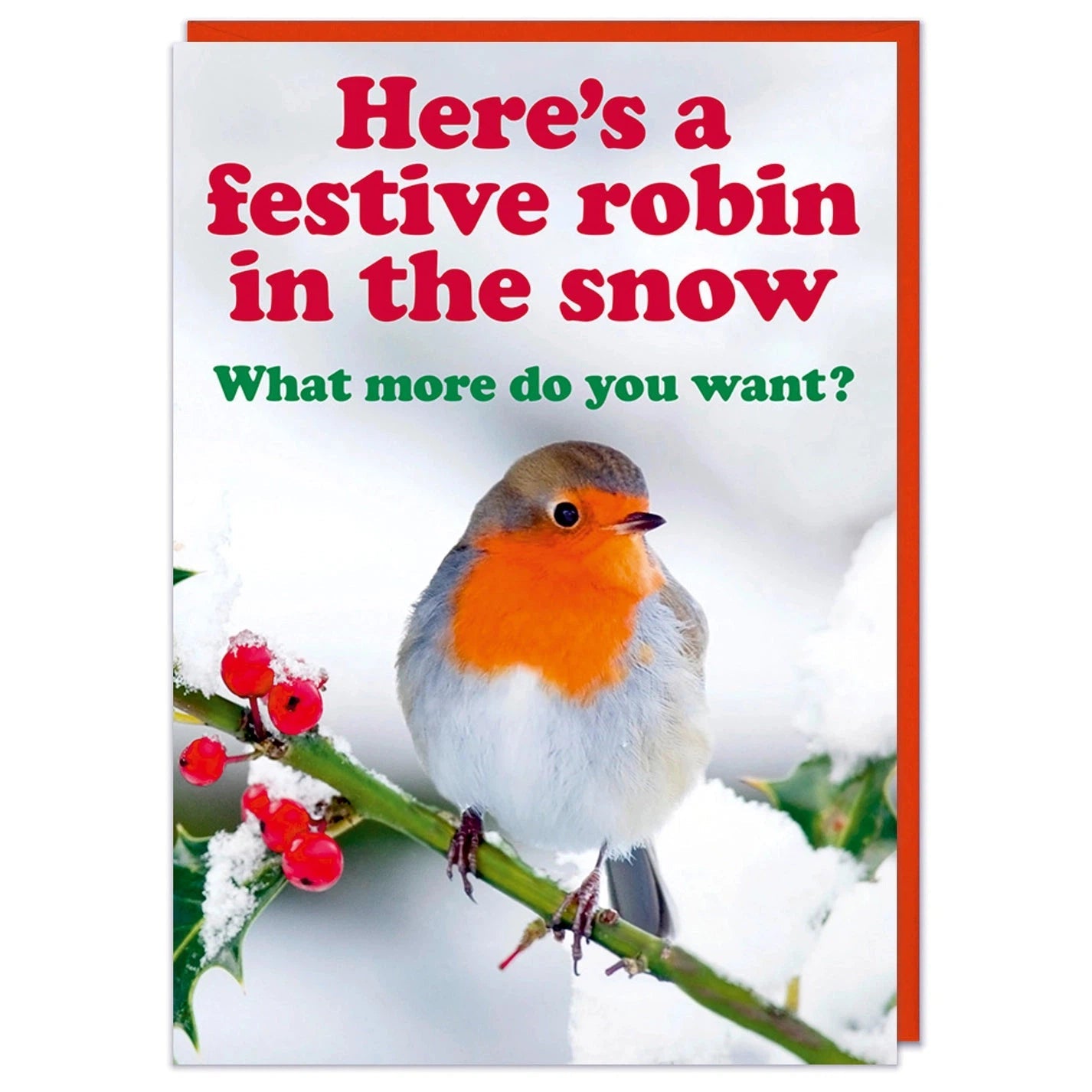 Here's A Festive Robin In The Snow Christmas Greeting Card