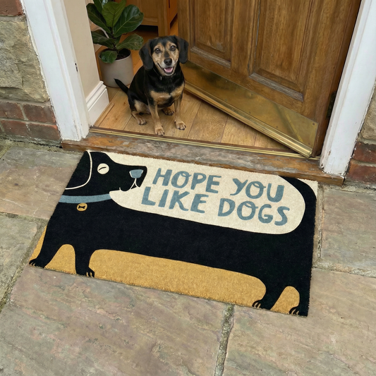 Dog standing on a doormat with 'Hope you like dogs' text at the entrance of a house.