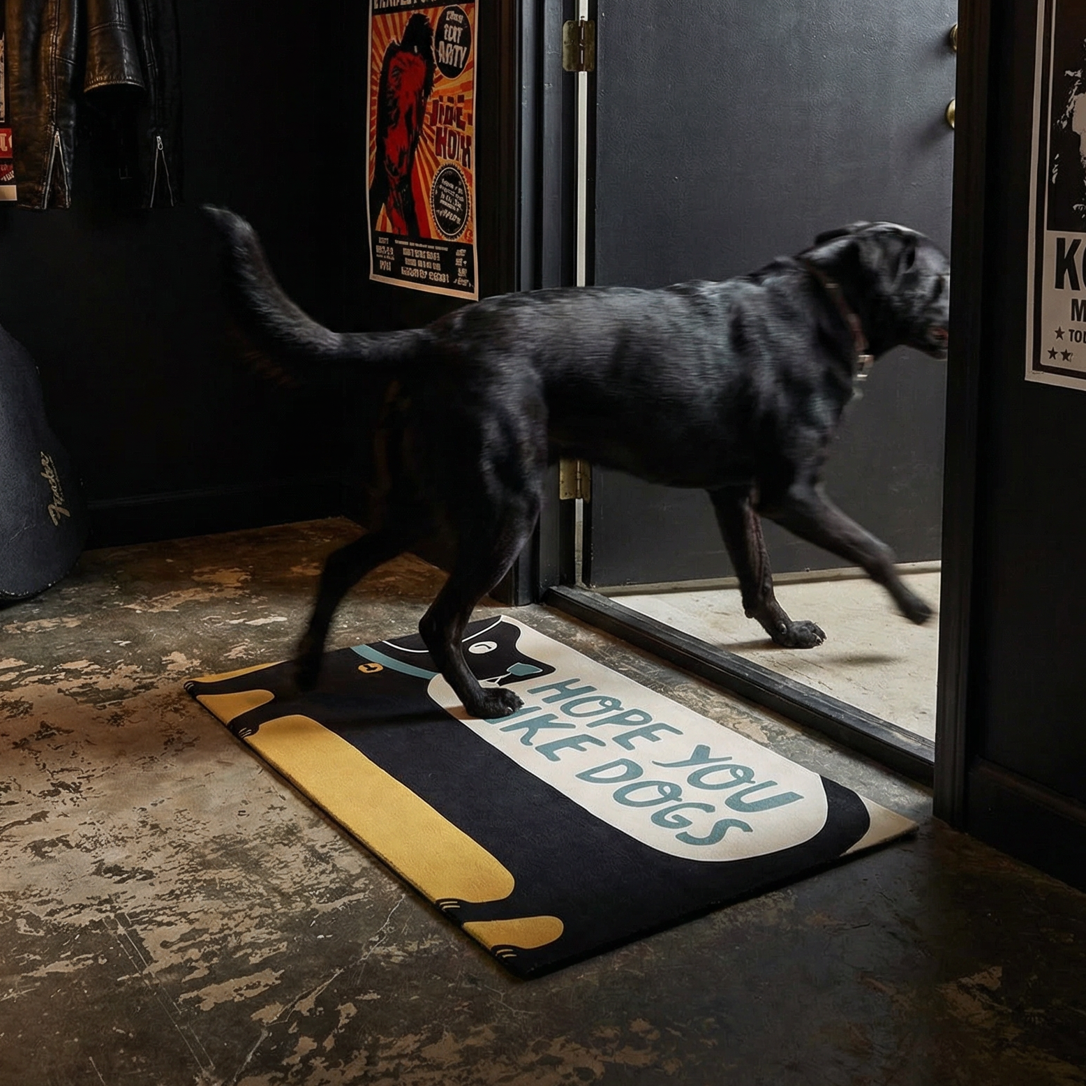 Black dog walking on a doormat with text in a room with posters and a guitar.