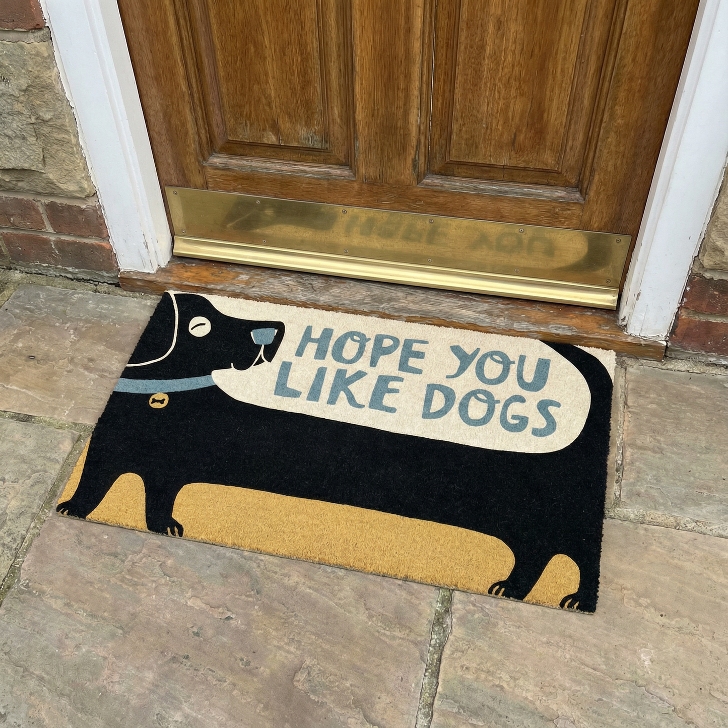 Hope You Like Dogs Entryway Indoor/Outdoor Rug | 34" x 20" | Slip-Resistant Backing