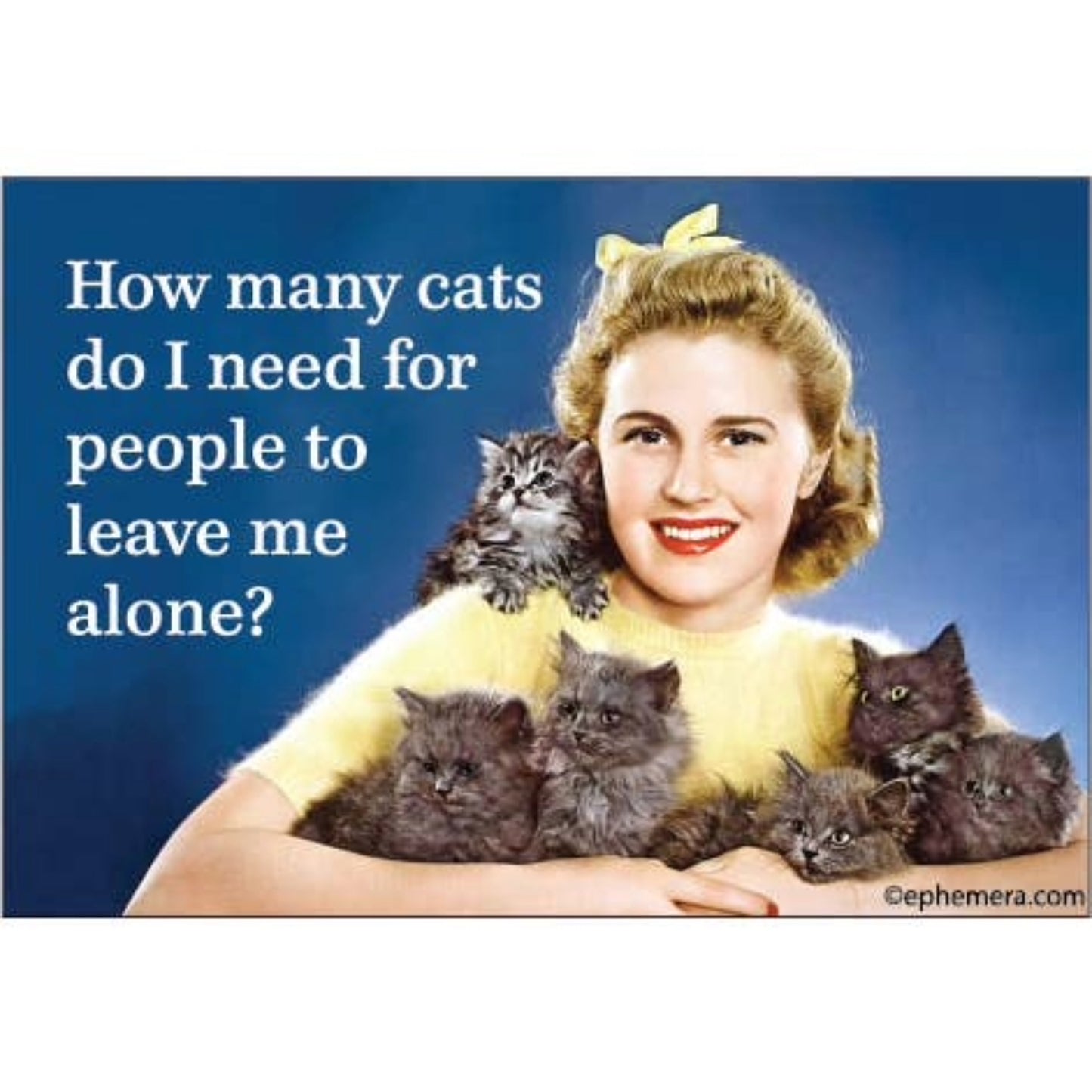 How Many Cats Do I Need for People to Leave Me Alone? Magnet-Ephemera-The Bullish Store