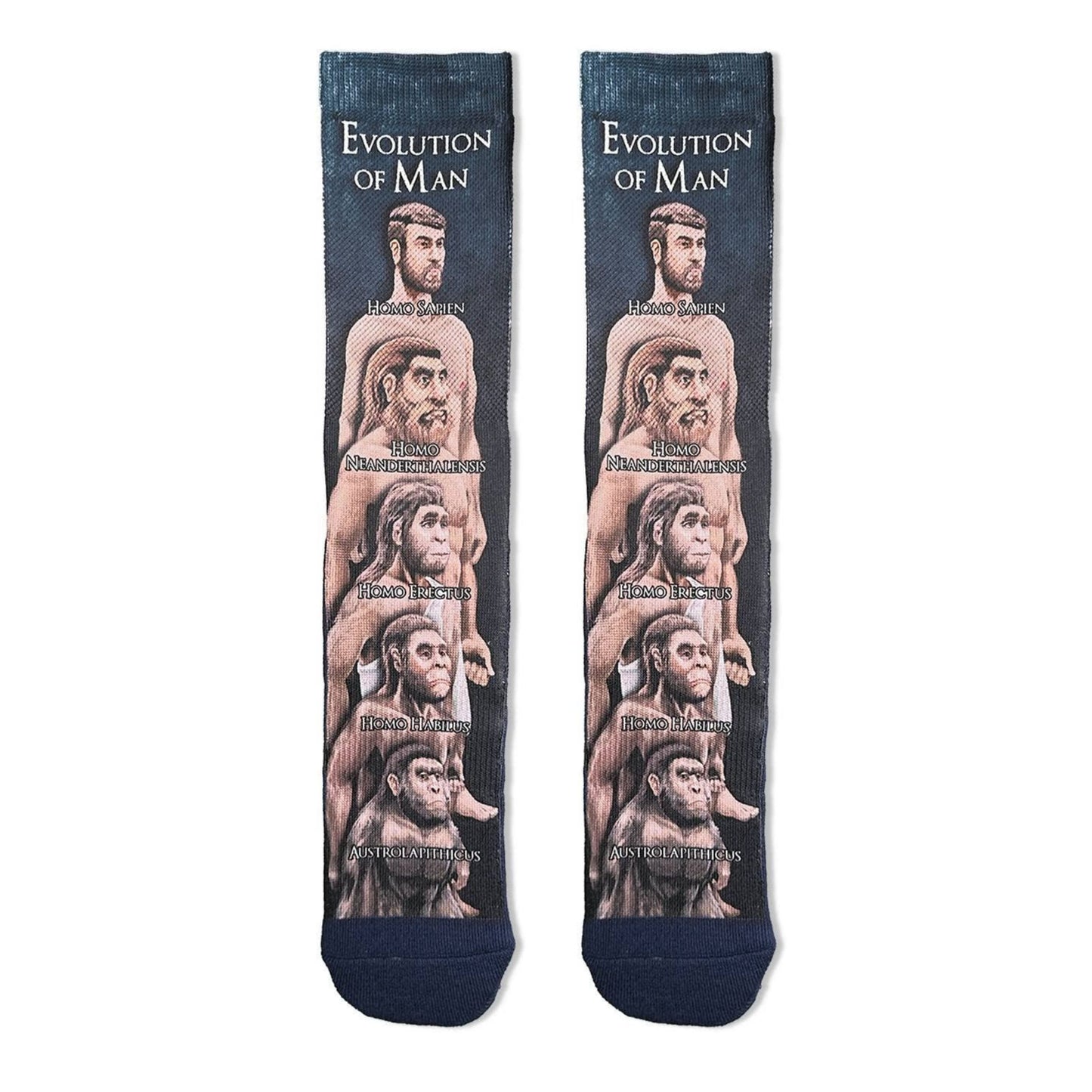 Human Evolution Men's Socks | Novelty Crew Socks