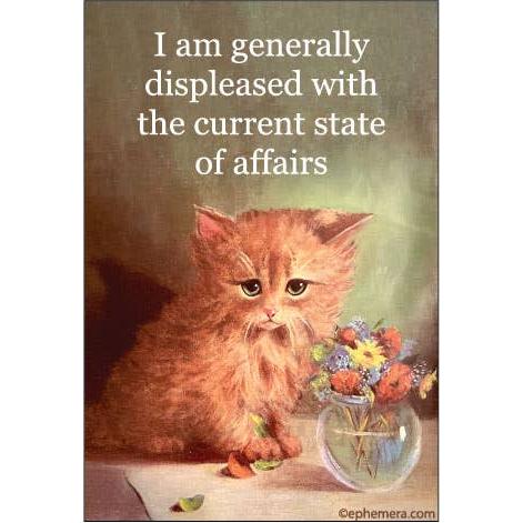 I Am Generally Displeased With The Current State Of Affairs Refrigerator Magnet | 3" x 2"