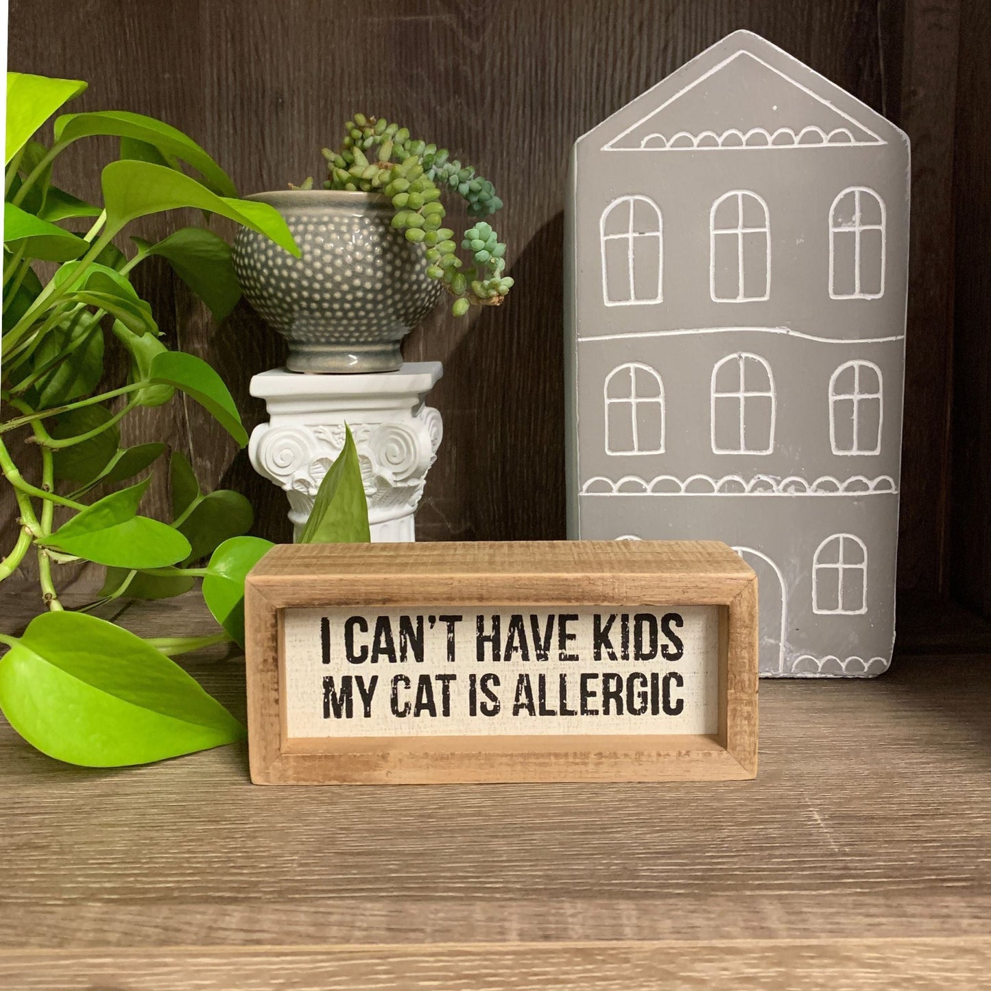 I Can't Have Kids - My Cat Is Allergic Inset Wooden Box Sign | Funny Home Door Decor | 6" x 2.50"