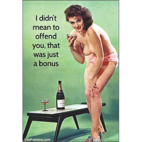 I Didn’t Mean to Offend You That Was Just A Bonus Magnet | Sarcastic Vintage Pin-Up Humor Fridge Magnet