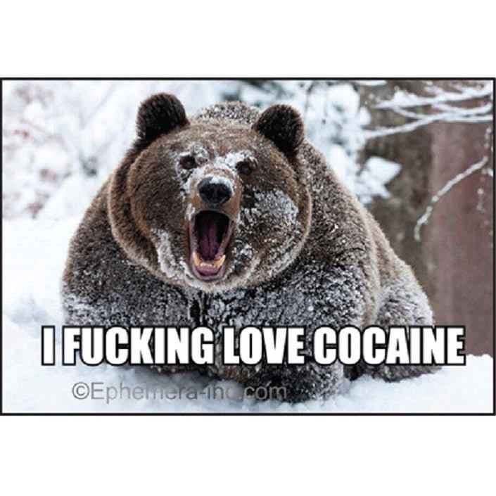 I Fucking Love Cocaine Bear Themed Fridge Magnet