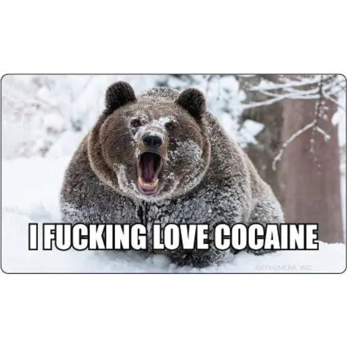 I Fucking Love Cocaine Brown Bear Vinyl Sticker | Rectangular Large Size Decal | 6" x 3.4"-Ephemera-The Bullish Store