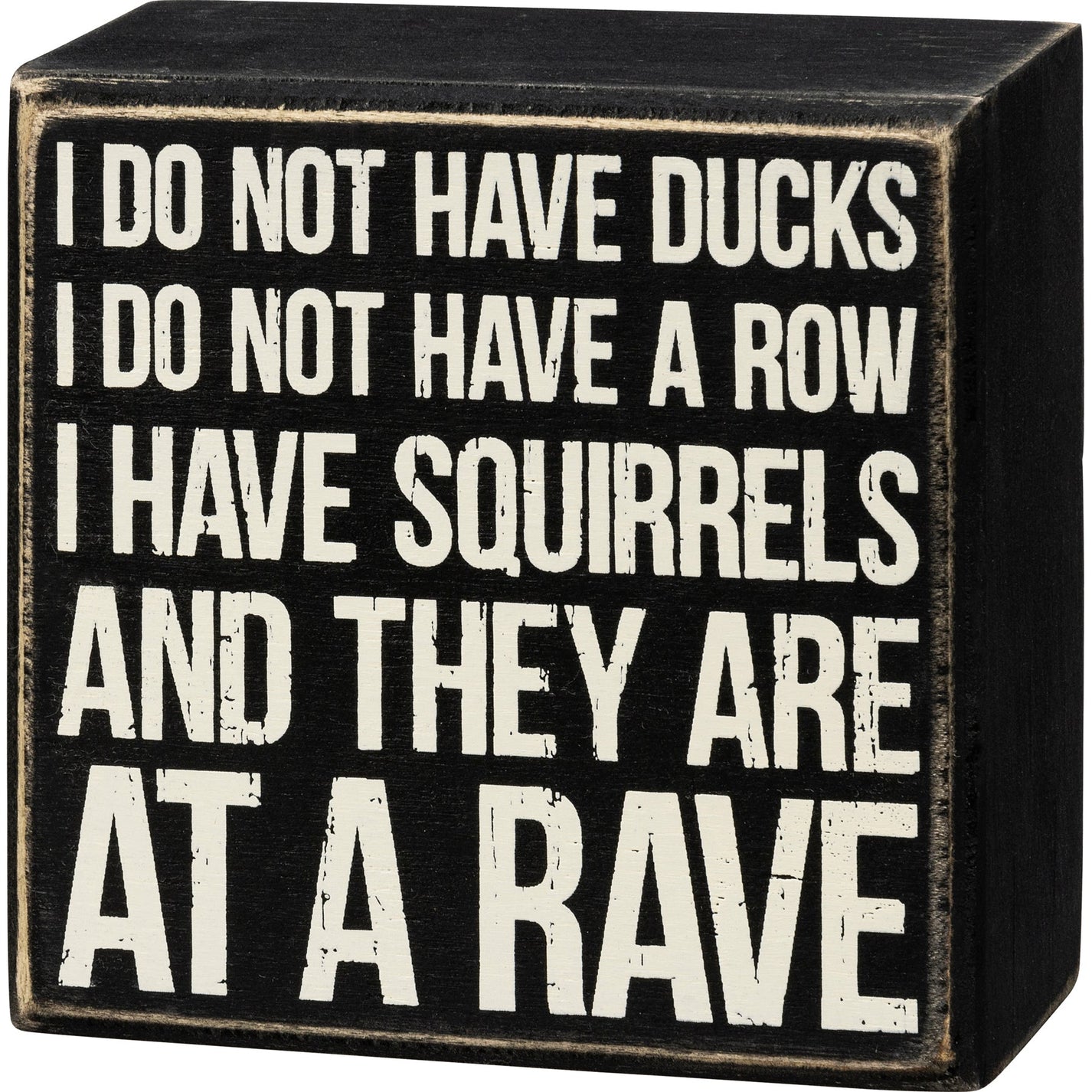 I Have Squirrels And They Are At A Rave Box Sign in Black with White L