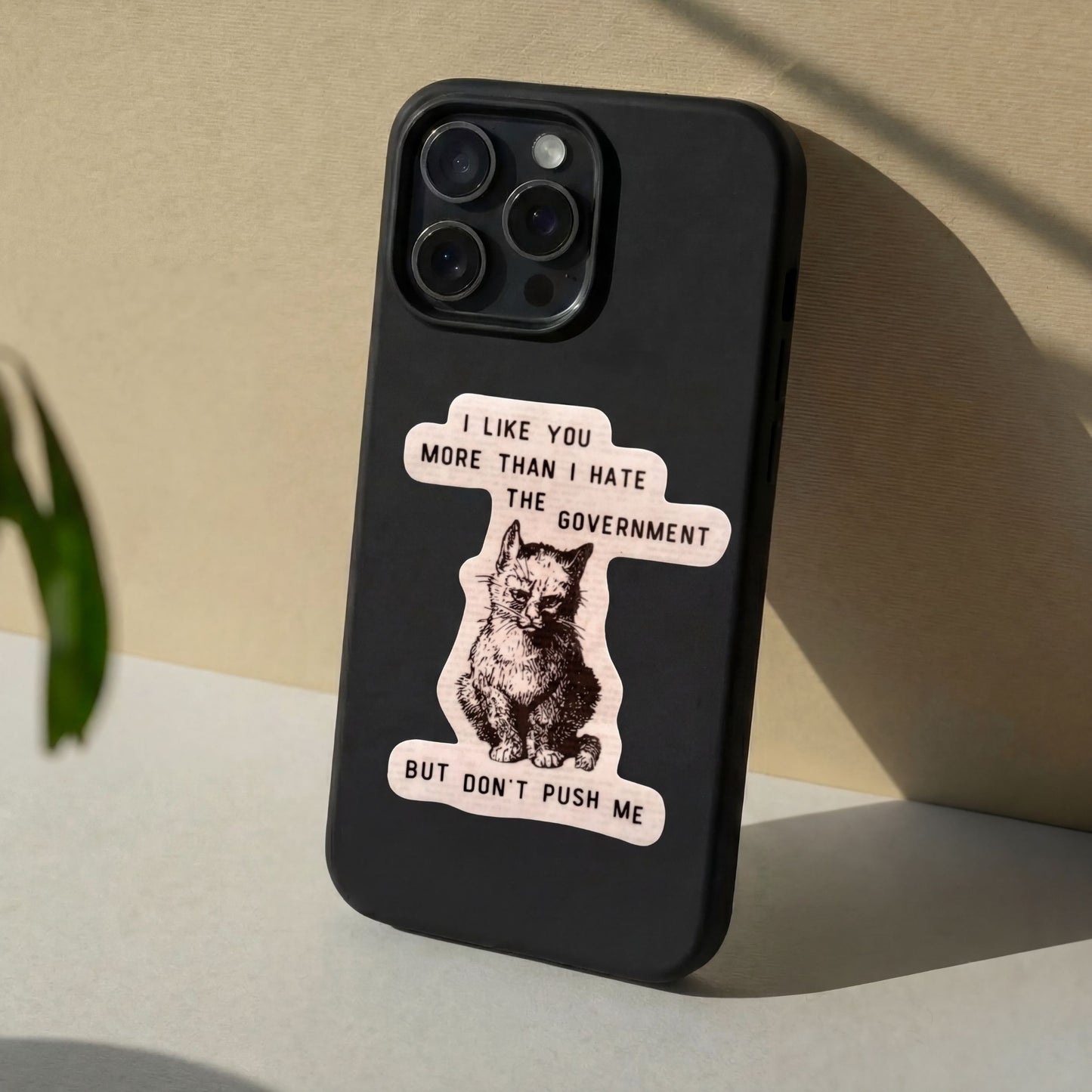 I Like You More Than I Hate the Government Victorian Cat Political Sticker