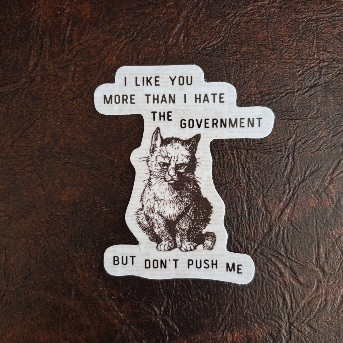I Like You More Than I Hate the Government Victorian Cat Political Sticker