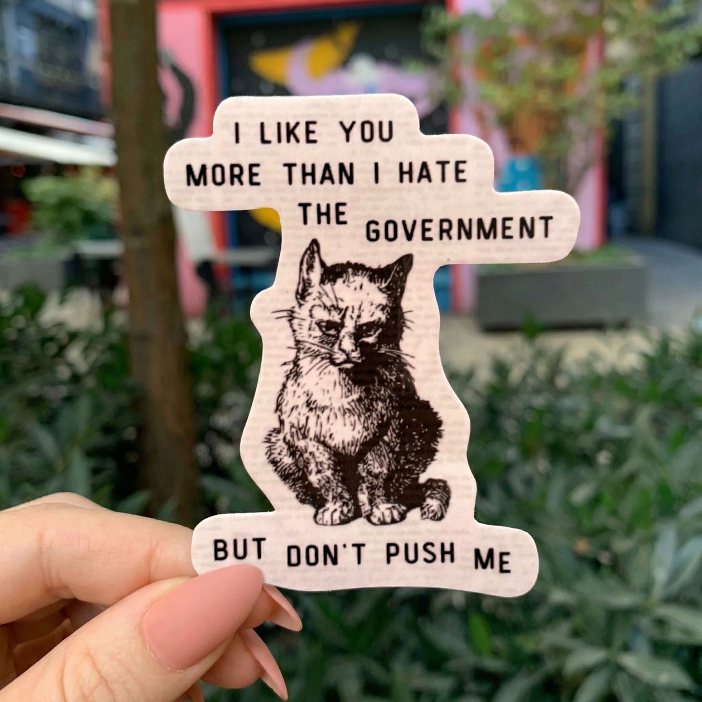 I Like You More Than I Hate the Government Victorian Cat Political Sticker