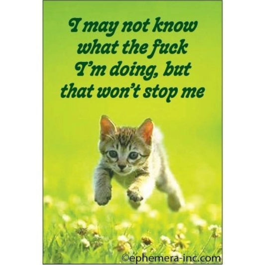 I May Not Know What The Fuck I'm Doing But That Won't Stop Me Magnet | 2" x 3"-Ephemera-The Bullish Store