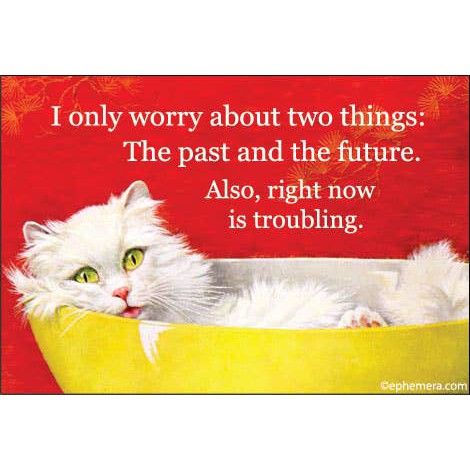 I Only Worry About Two Things: Past And Future Rectangular Magnet | Cute White Cat | 3" x 2"