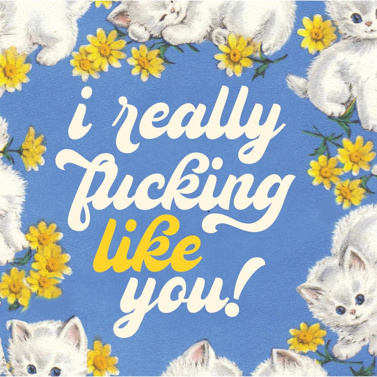 “I Really F***ing Like You” Like Kittens Love Card | Cute Cats Message Card