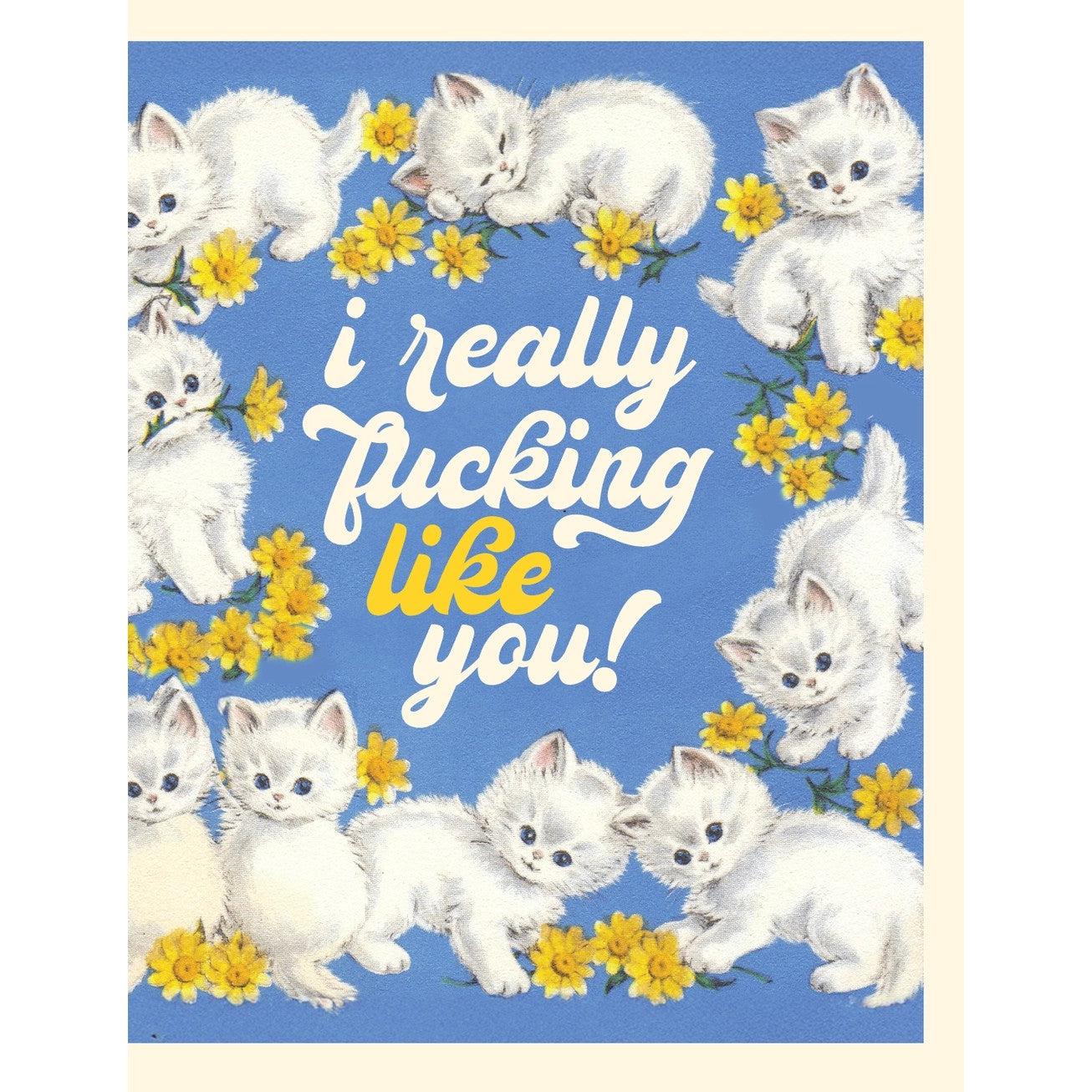 “I Really F***ing Like You” Like Kittens Love Card | Cute Cats Message Card