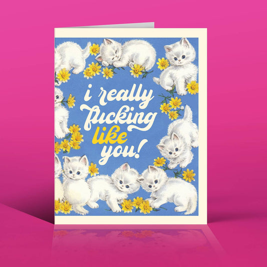 “I Really F***ing Like You” Like Kittens Love Card | Cute Cats Message Card