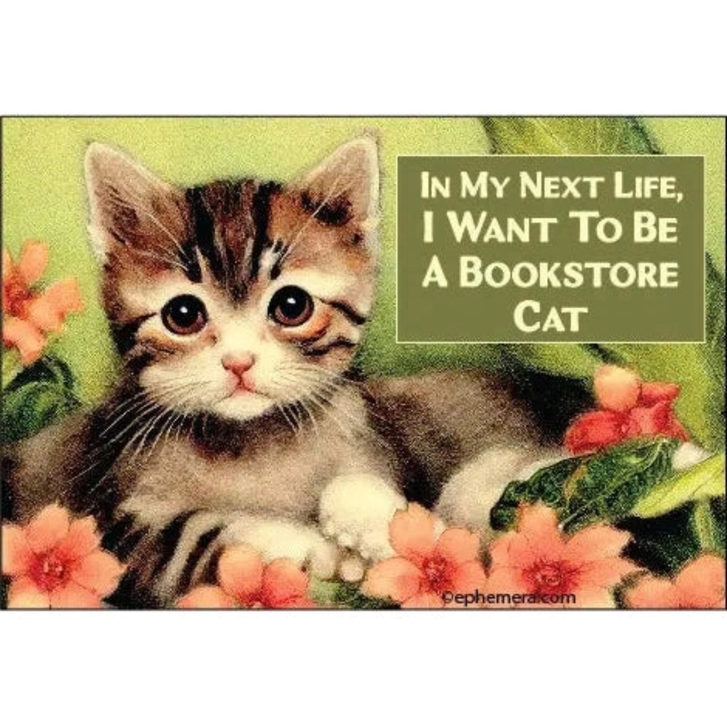 I Want To Be A Bookstore Cat Rectangular Fridge Magnet | 3" x 2"-Ephemera-The Bullish Store