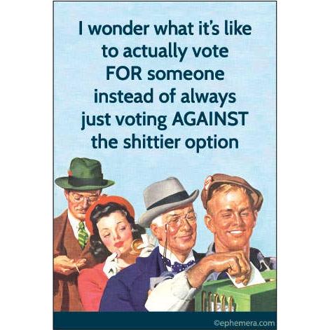 I Wonder What It’s Like to Actually Vote FOR Someone Magnet | Sarcastic Humor Refrigerator Magnet