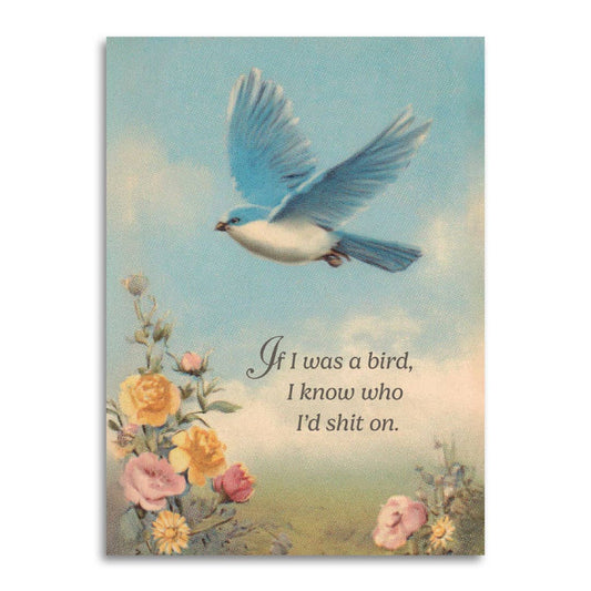 If I Was a Bird I Know Who I'd Shit On Funny Vintage Greeting Card