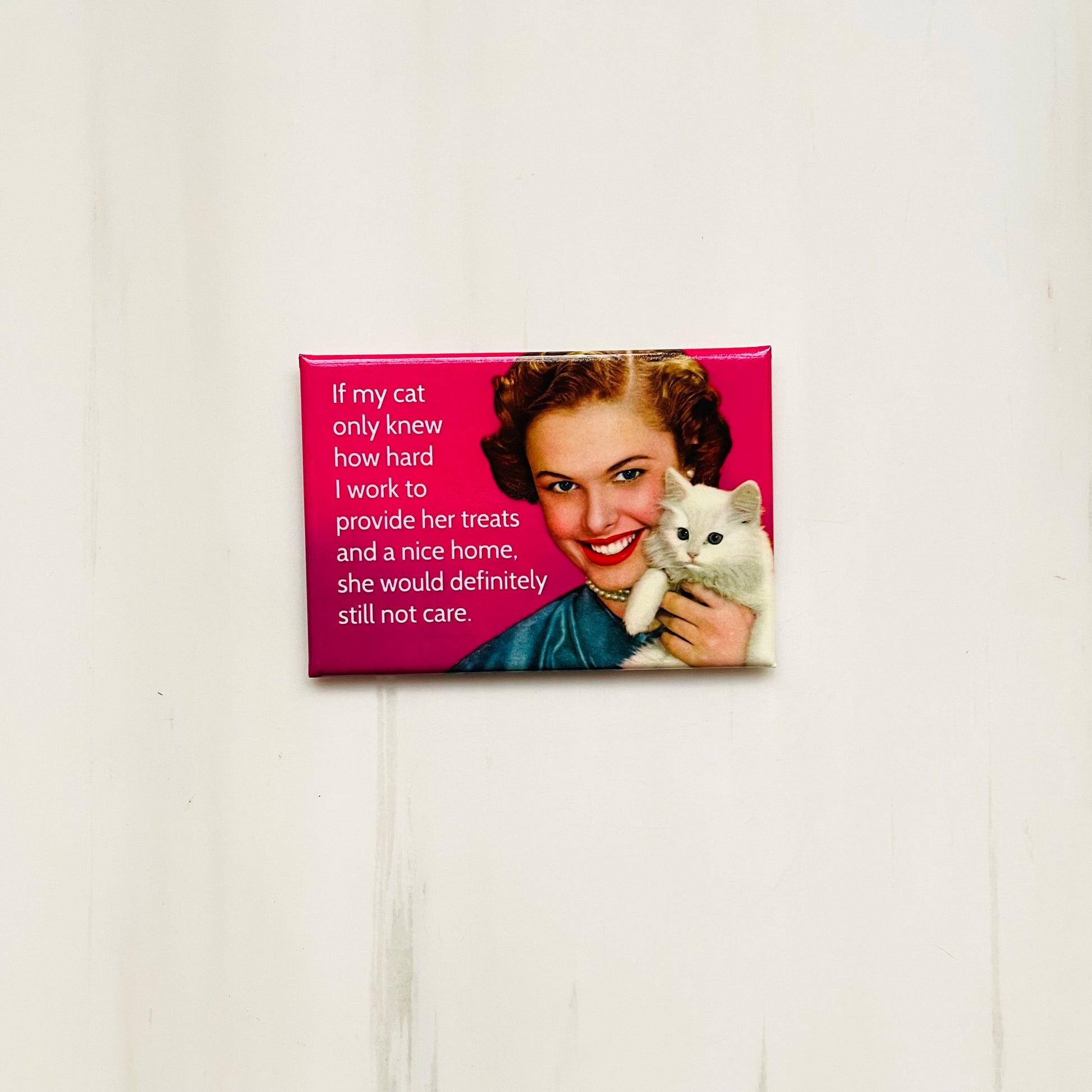 If My Cat Only Knew How Hard I Work To Provide Her Treats Rectangular Magnet | Refrigerator Magnetic Surface Decor