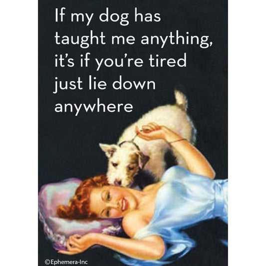 If My Dog Has Taught Me Anything, It's If You're Tired Just Lie Down Anywhere Fridge Magnet