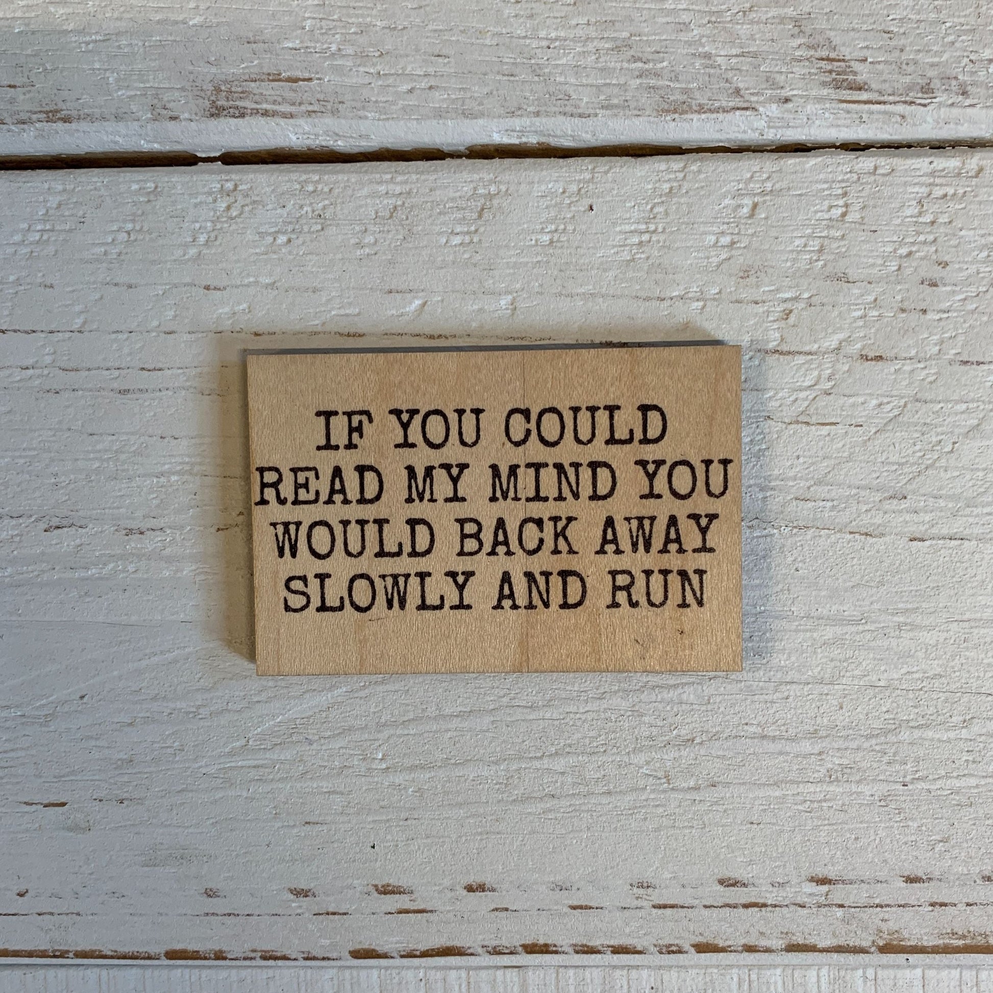 If You Could Read My Mind Funny Refrigerator Wood Magnet | Rectangular Wooden Decor | 2" x 3"