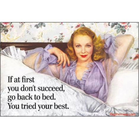 If at First You Don’t Succeed, Go Back to Bed You Tried Your Best Funny Magnet | Sarcastic Fridge Magnet-Ephemera-The Bullish Store