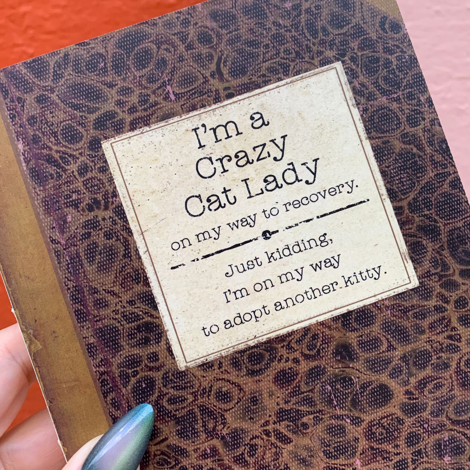 I'm A Crazy Cat Lady On My Way To Recovery Journal | Vintage Book Designs Notebook