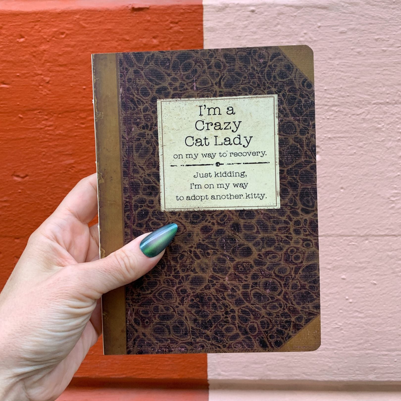 I'm A Crazy Cat Lady On My Way To Recovery Journal | Vintage Book Designs Notebook