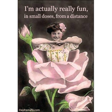 I’m Actually Really Fun, in Small Doses, from a Distance Fridge Magnet | Funny Introvert Vintage Magnet