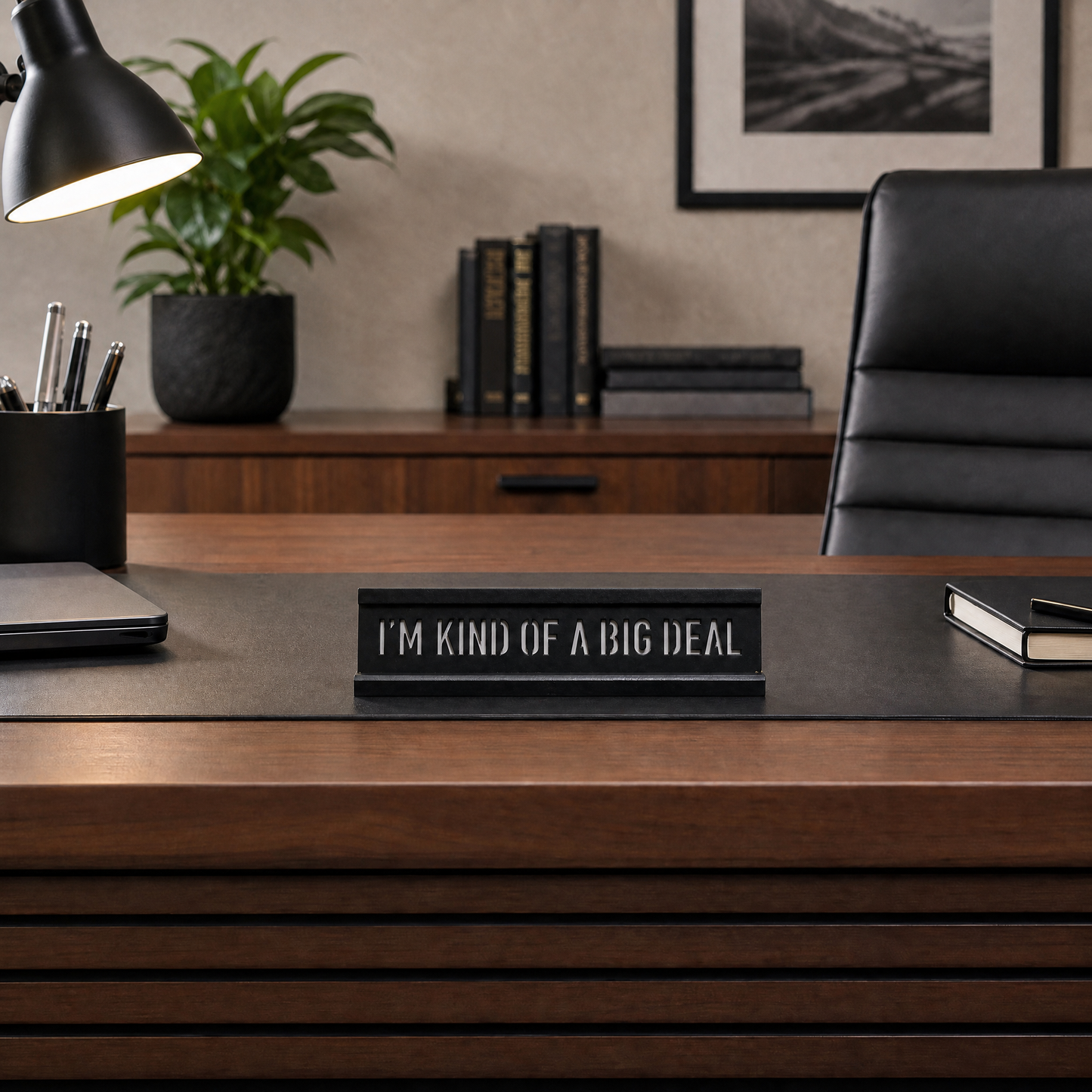 I'm Kind of a Big Deal Desk Plaque | 10" x 3" Cut-Out Lettering Funny Desk Sign
