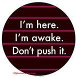 I'm here. I'm awake. Don't push it. Lapel Pin Button | Pinback Button Badge | 1.3"