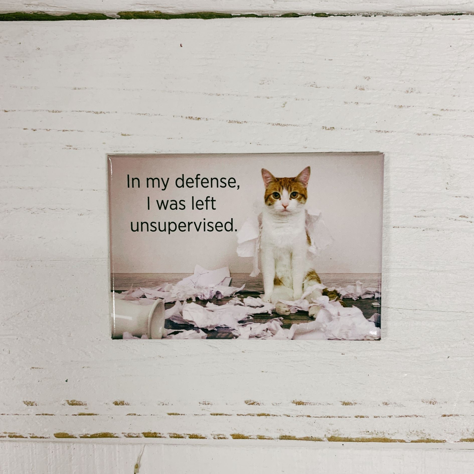 In My Defense, I was Left Unsupervised Rectangular Funny Cat Magnet | Fridge Magnetic Surface Decor | 3" x 2"