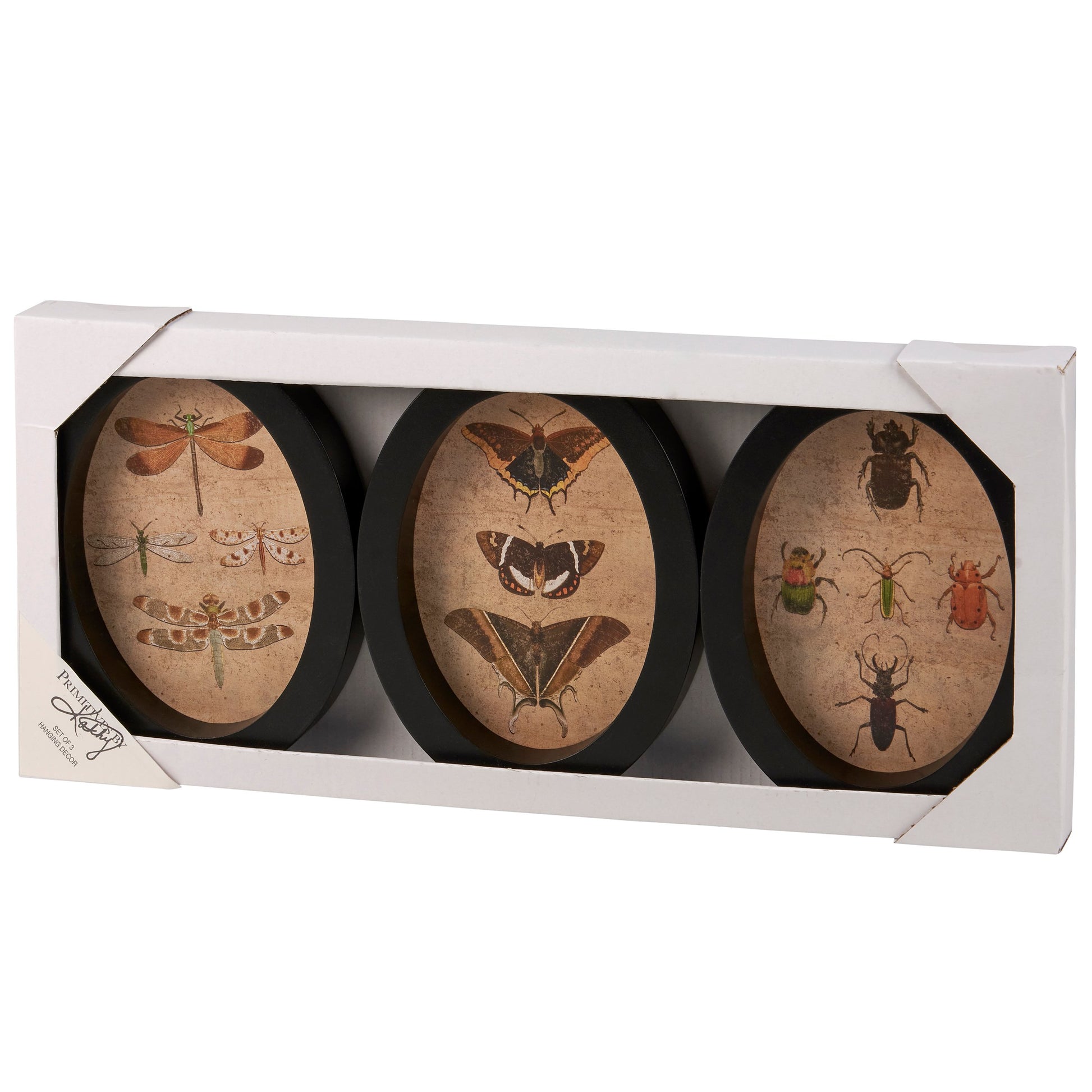 Set of three oval-shaped decor with insect illustrations in a white box packaging.