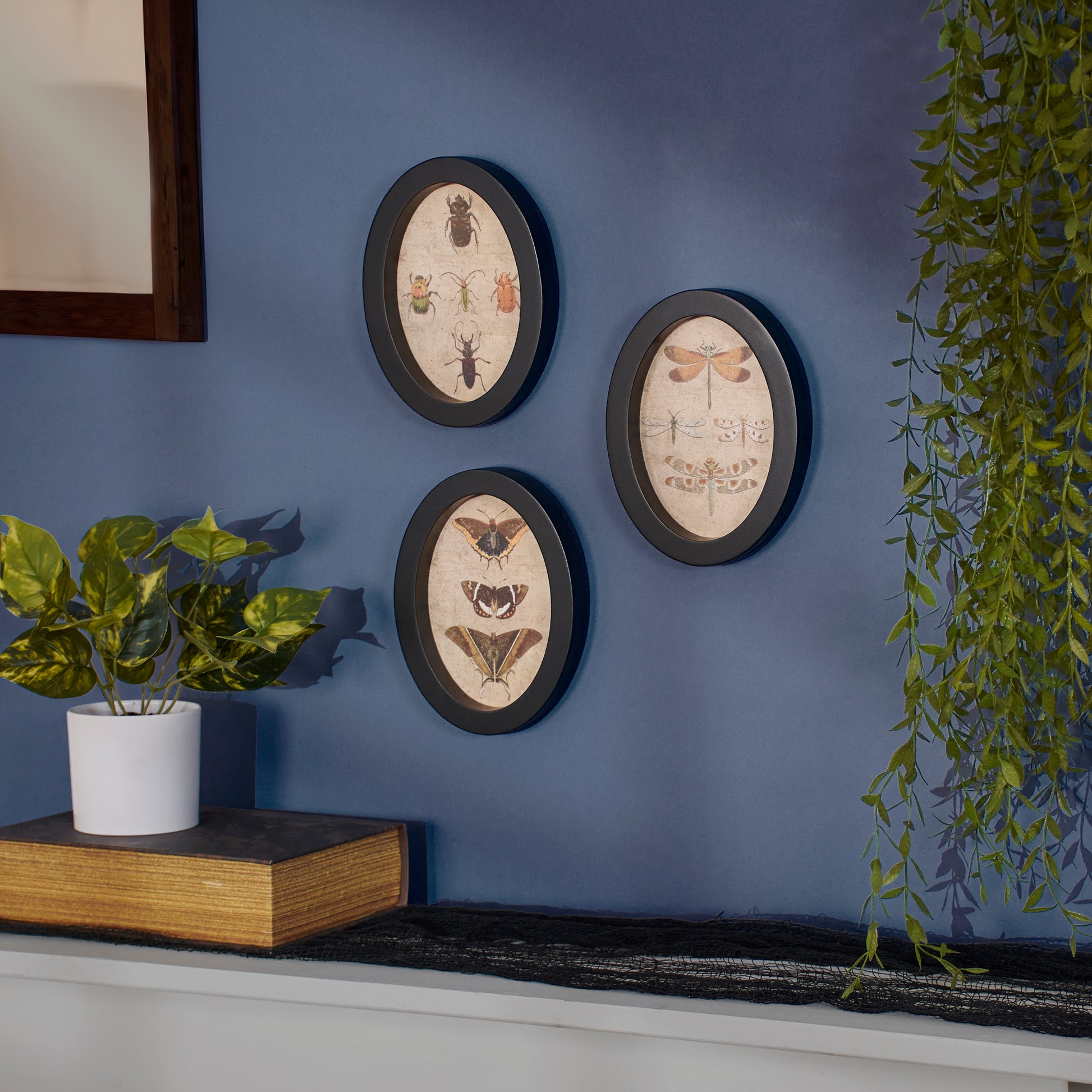 Three circular wall art pieces with insect illustrations on a blue wall, with a plant and books in the foreground.