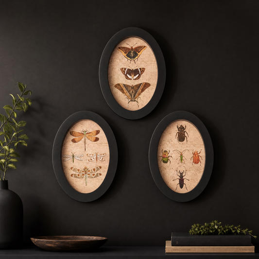 Insect Study Black Wood Framed Wall Decor Set of 3 | 6" x 8"