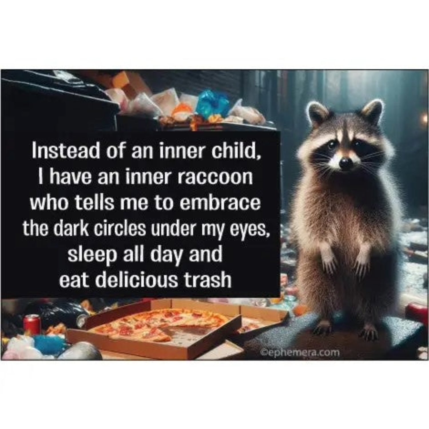 Instead of An Inner Child, I Have An Inner Raccoon Rectangular Magnet | Refrigerator Magnetic Surface Decor-Ephemera-The Bullish Store