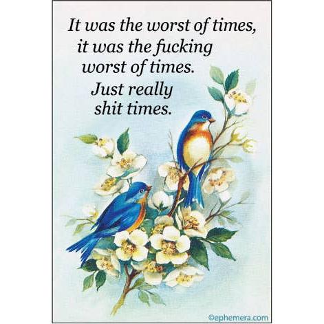 It Was The Worst Of Times, It Was The Fucking Worst Of Times Refrigerator Magnet | 3" x 2"