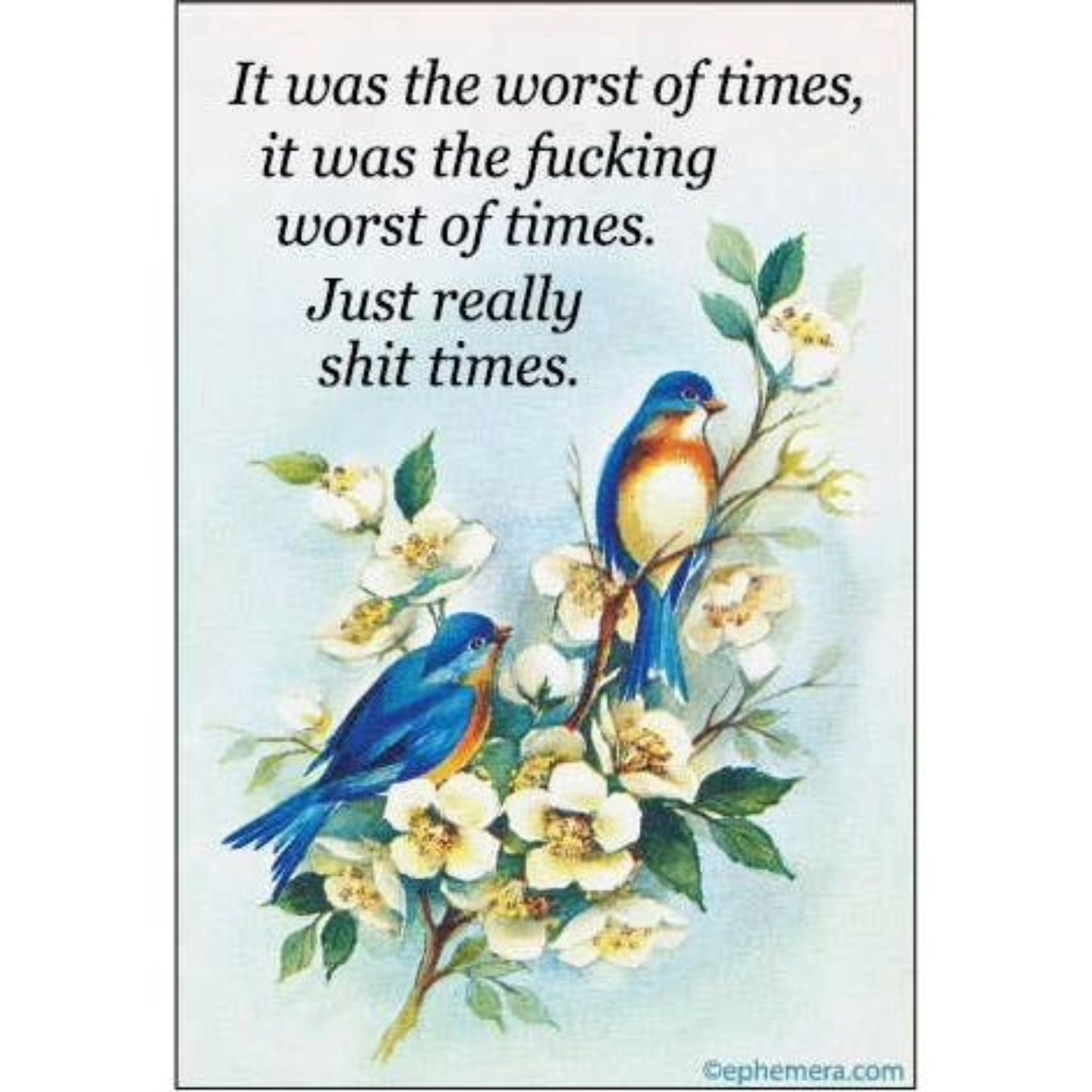 It Was The Worst Of Times, It Was The Fucking Worst Of Times Refrigerator Magnet | 3" x 2"-Ephemera-The Bullish Store