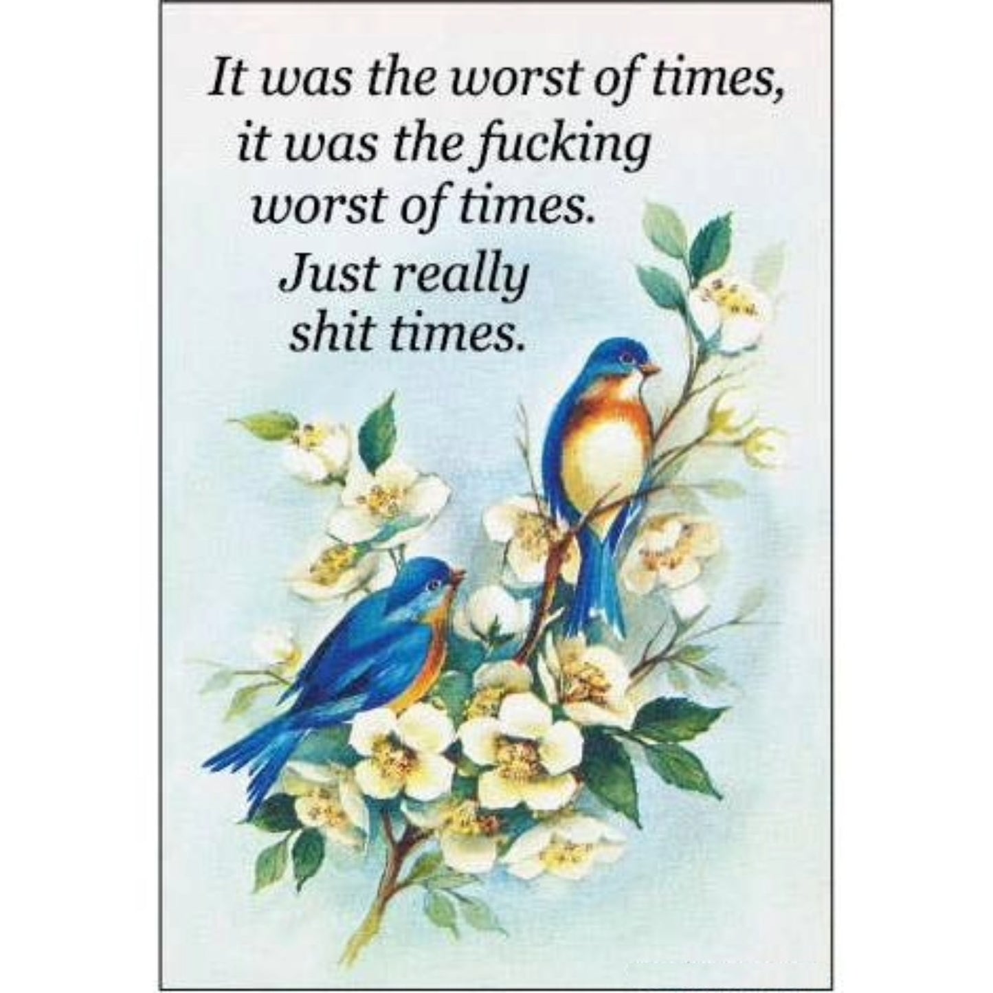 It Was The Worst Of Times, It Was The Fucking Worst Of Times Refrigerator Magnet | 3" x 2"-Ephemera-The Bullish Store